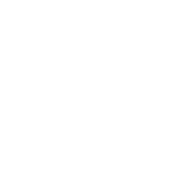 1Rage Festival_Logo White-03 2