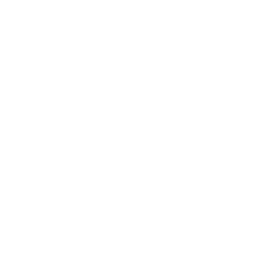 MMFF 1